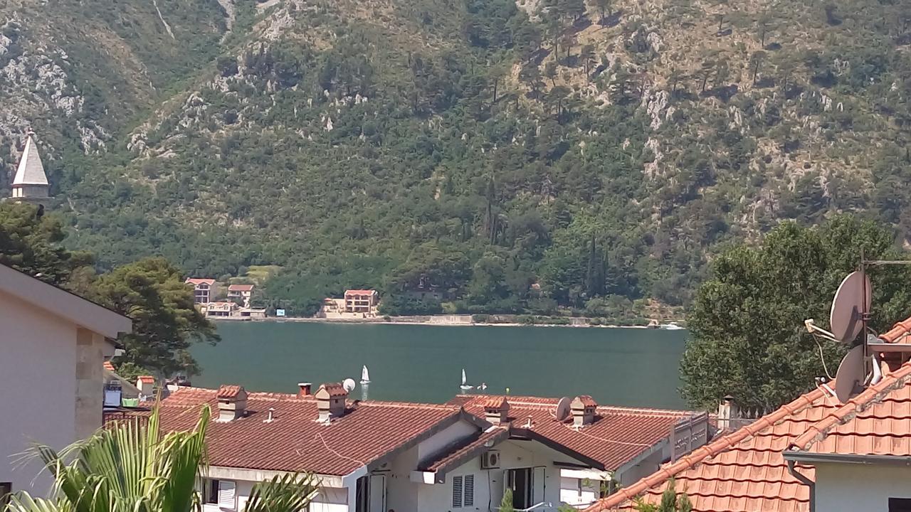 Hotel Alkima Kotor Exteriér fotografie